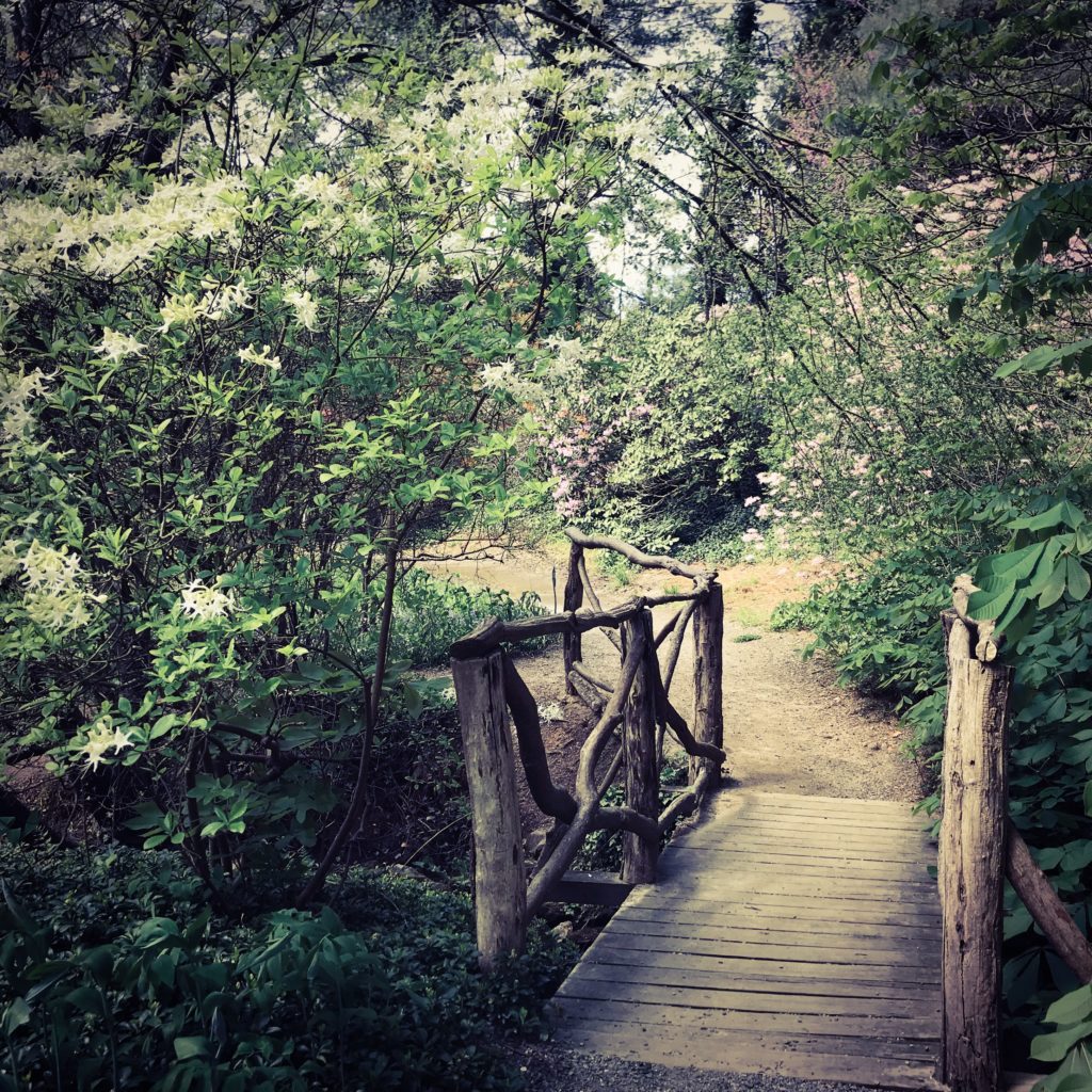 Foot bridge over a creek in the Biltmore gardens in Asheville,N.C.