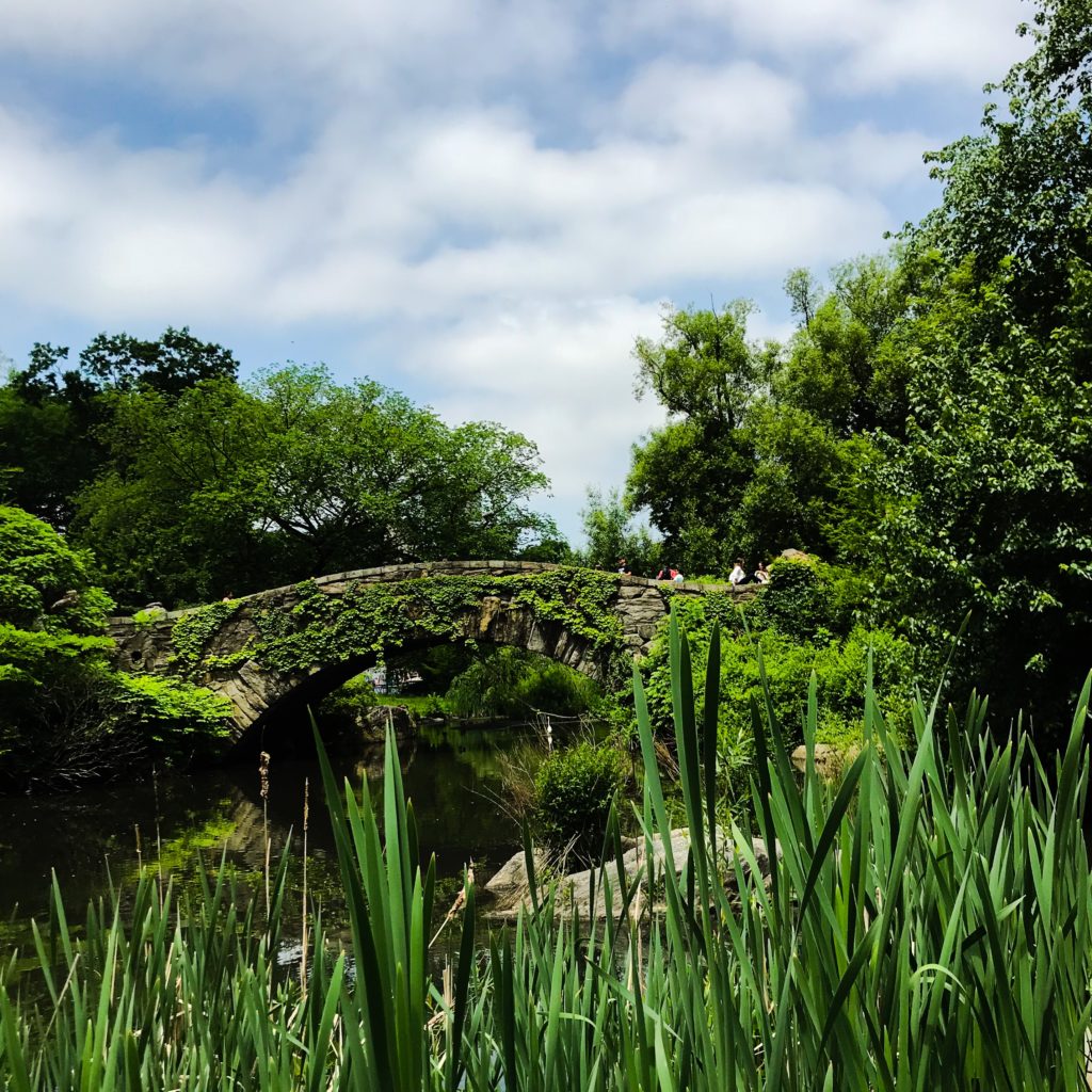 Central Park bridge over pond 