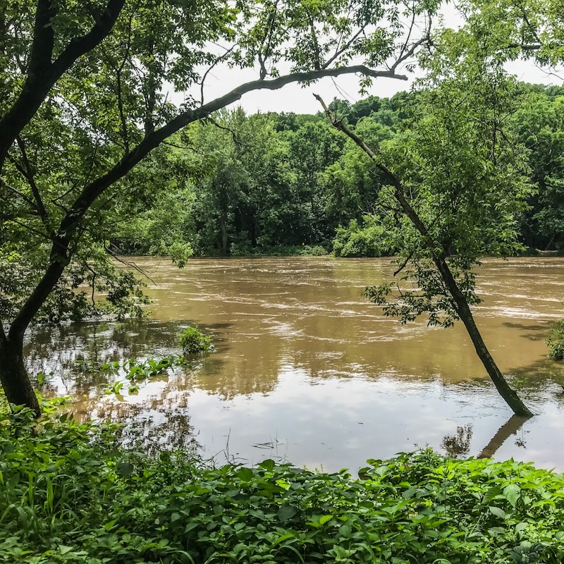 Flooded river in Minnesota 