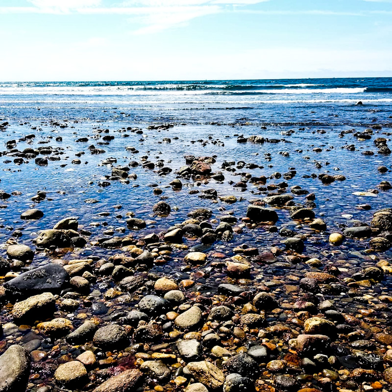 Rocky tidal pool