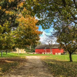 Path through fall colors and trees leading to red barn