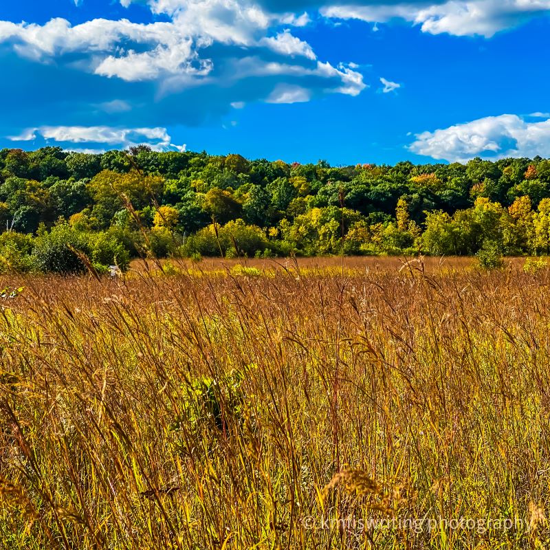 Minnesota's State Parks: Where Fall Colors Come Alive