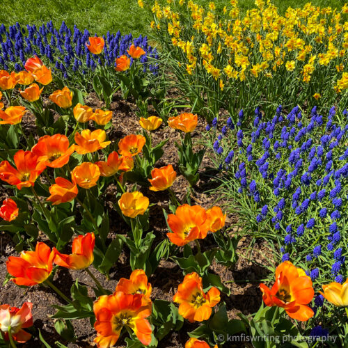 Best flower gardens in and near the Twin Cities