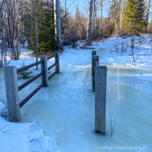 Icy hiking trail at Cascade River State Park