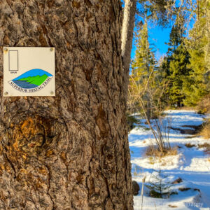 Superior Hiking Trail near Duluth Minnesota tree with sign in the winter