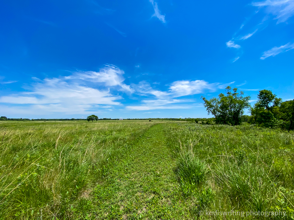 Prairie hiking trail at Buffalo River State Park in Minnesota