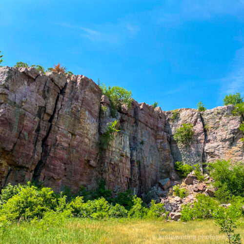 Minnesota’s Blue Mounds State Park features bison herd