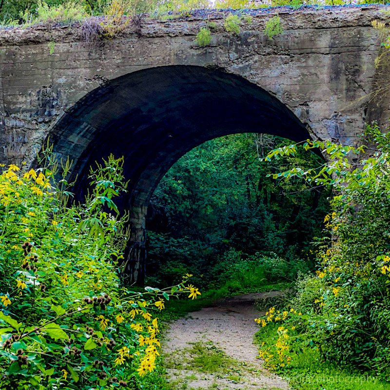 William O'Brien State Park in Minnesota train trestle