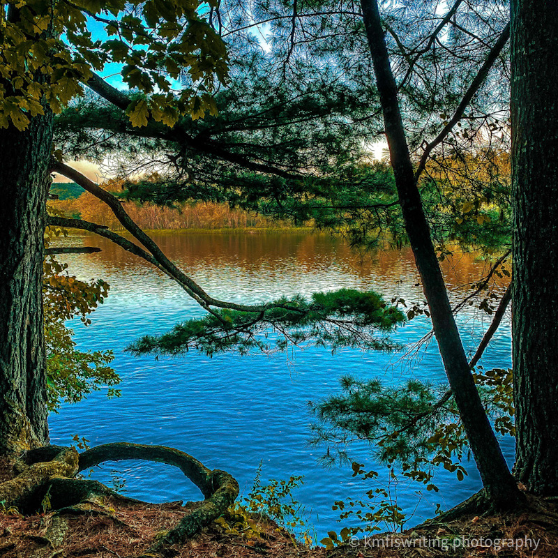 Scenic St. Croix River view at William O'Brien State Park in Minnesota