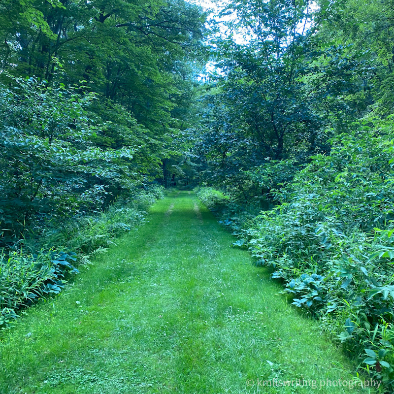 Best hiking trails at William O'Brien State Park in Minnesota 