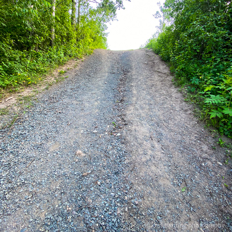 Best hiking trails at William O'Brien State Park in Minnesota 