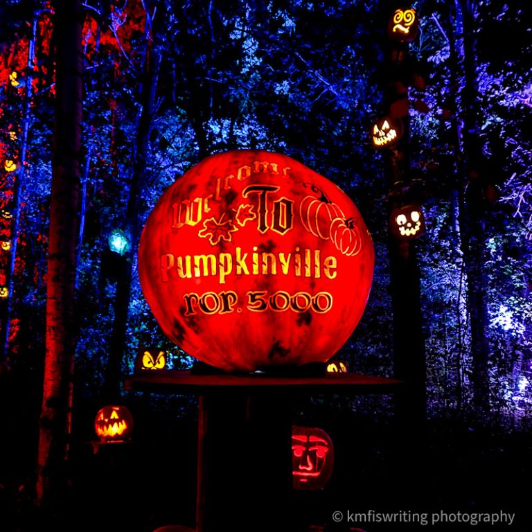 Familyfriendly Halloween MN Zoo JackoLantern Spectacular