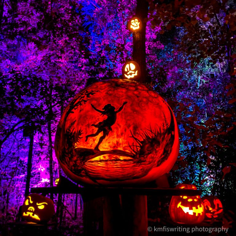 Familyfriendly Halloween MN Zoo JackoLantern Spectacular