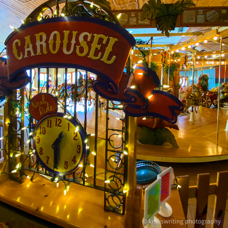 Lark Toys coolest and best toy store in the world and Minnesota carousel