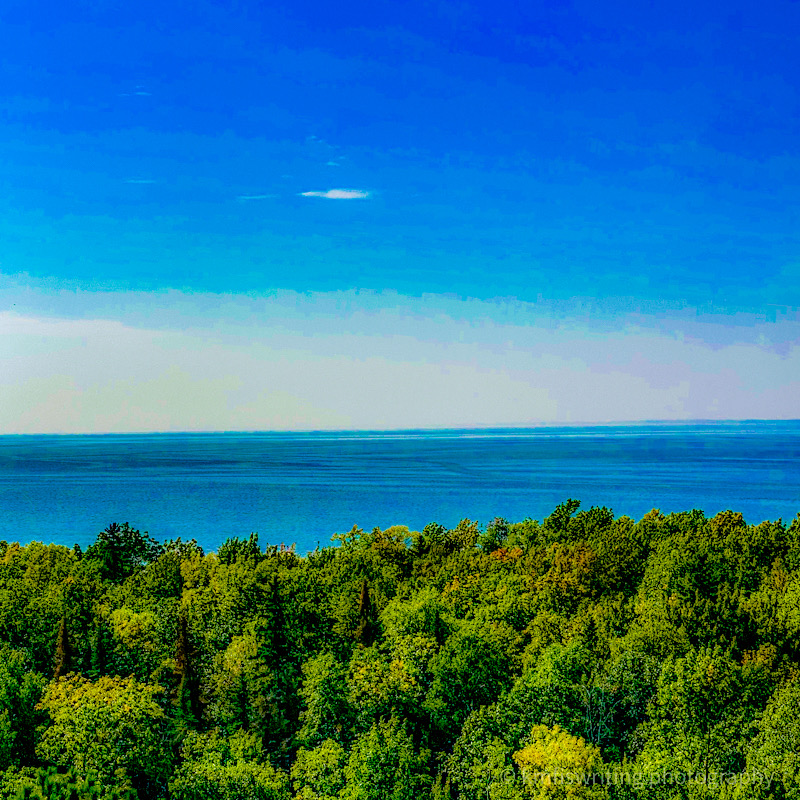 Big Bog State Recreation Area Fire Tower in Minnesota