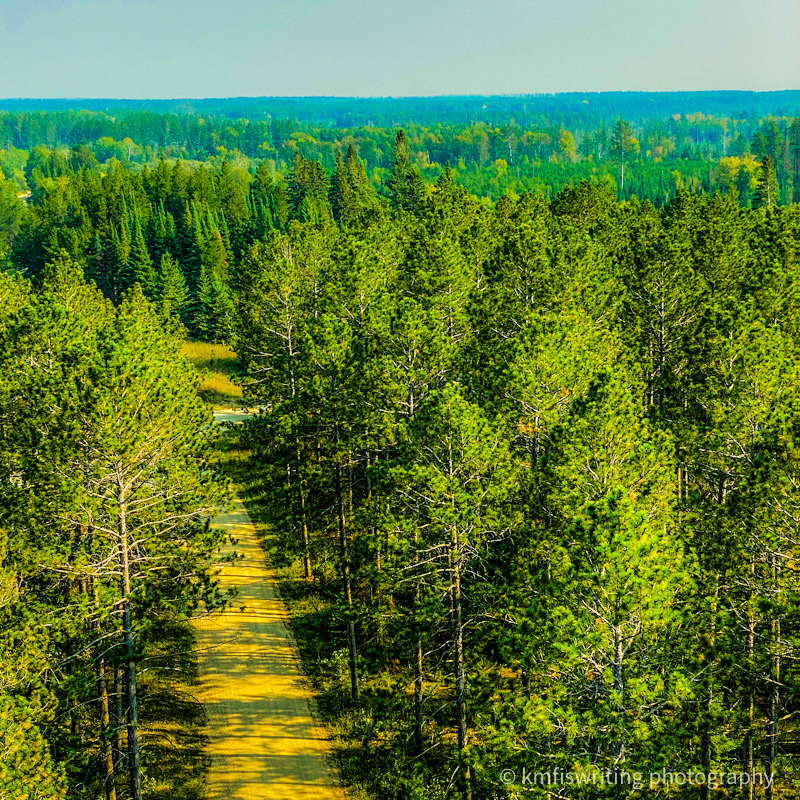 Faunce Lookout Fire Tower in Minnesota